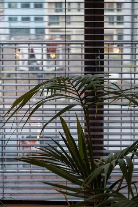 Appartement London 993 Loft 402 Anvers